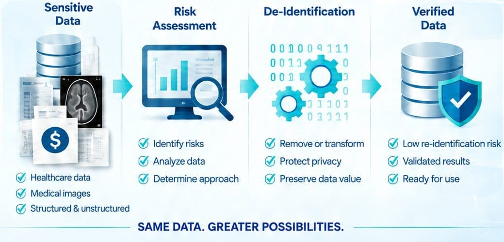 Info Incognito expertise in data privacy and de-identification